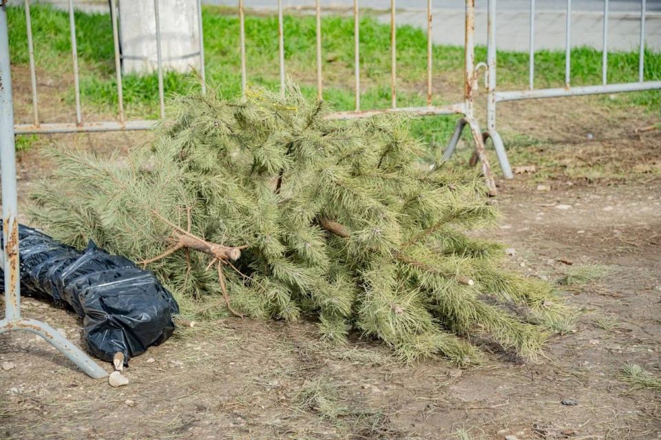 ������ ���������: � ����������� ���������� ��������� ����� �� ����������� ���������� ���������� ����