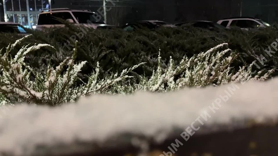 �������� ������� � �����. ����� ���� | MAX