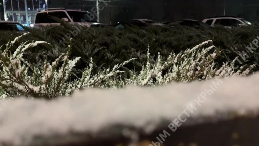 Крымская столица в снегу. ВЕСТИ КРЫМ | MAX