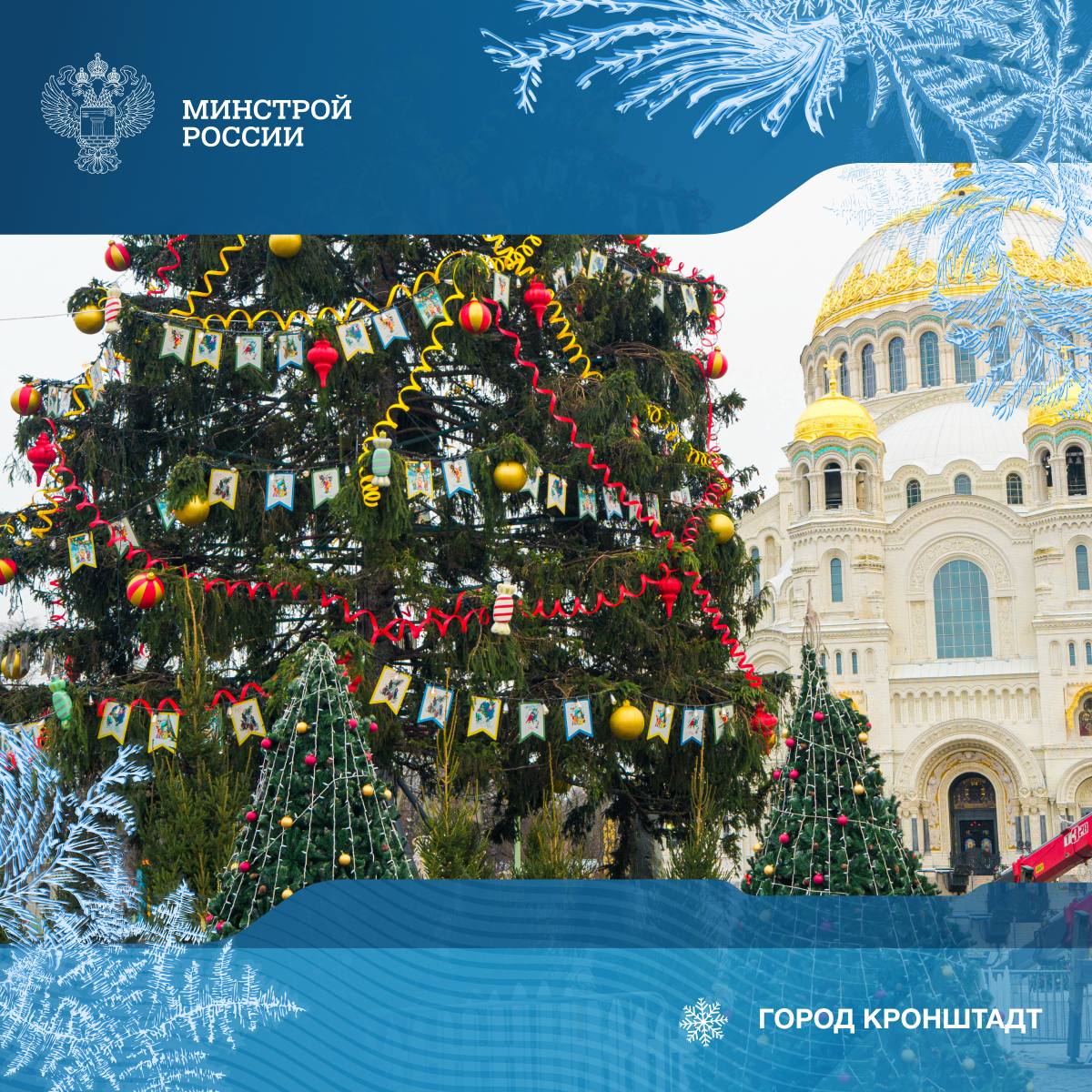 Определены победители Всероссийского конкурса «Елки России» Определены победители Всероссийского конкурса «Елки России»