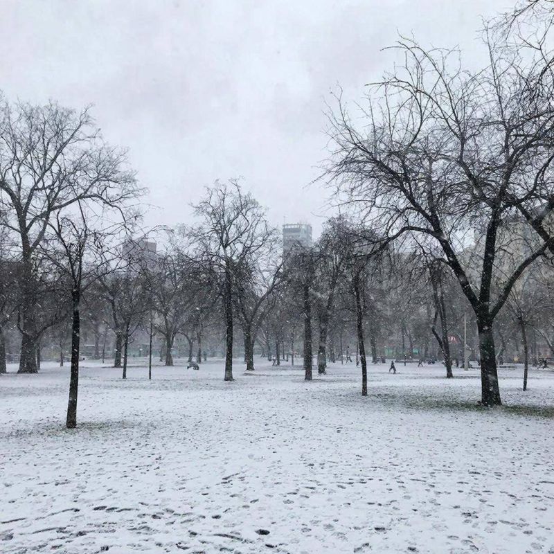 ����� ������ ��� ������� � ������ ����� 14 ������