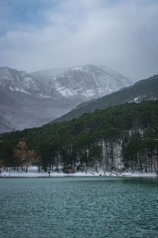 ��������� ����� � ����� � ���������� ���������