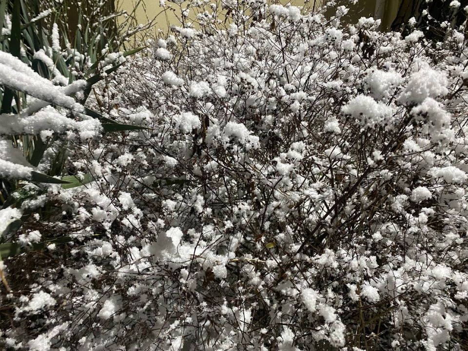 Иван Мезюхо: А в Крыму опять выпал снег