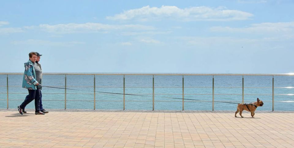 ������������ ����������� ������ �������� ��������, ��� ����������� � ���� ���� ��������� ��������� ����� �� pet-friendly-������ (������������� ��������� � �������� ��������)