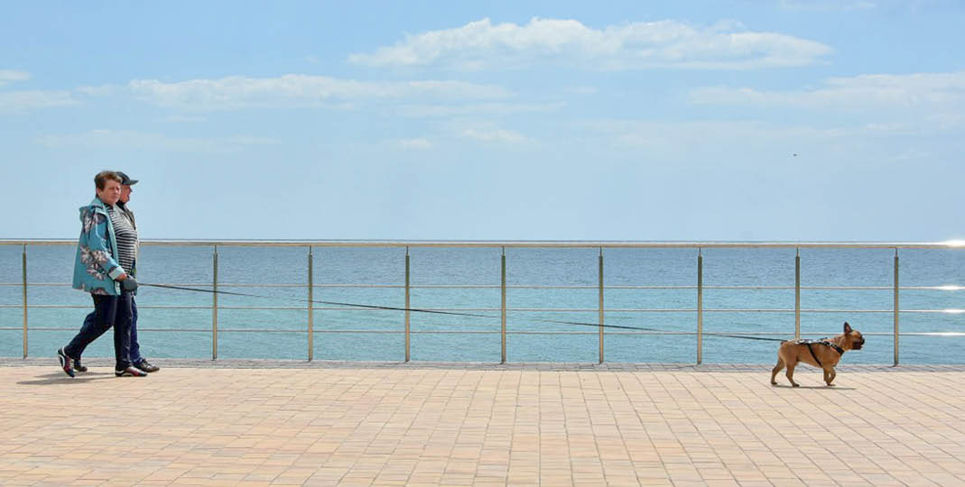 Руководитель Роскачества Максим Протасов объявил, что организация в этом году планирует утвердить ГОСТы на pet-friendly-туризм (дружественное отношение к домашним животным)