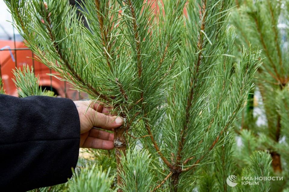 "E��������" � �����������: ���� ����� ���������� ������?