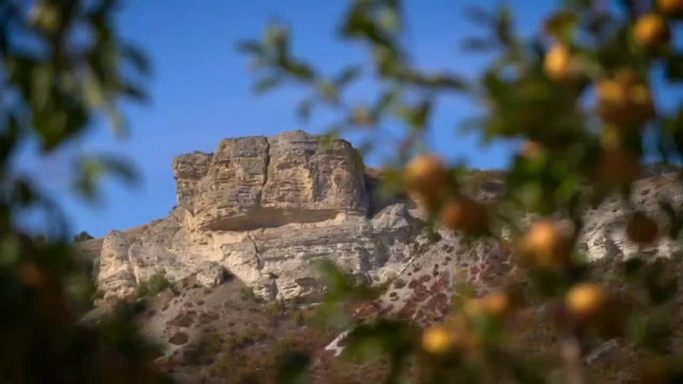 �������� ���������� ������ �������� ���� ���������� �������