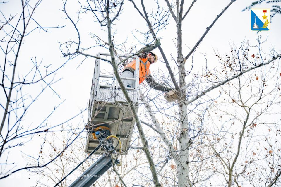 � ����������� ����������� ������� ��������