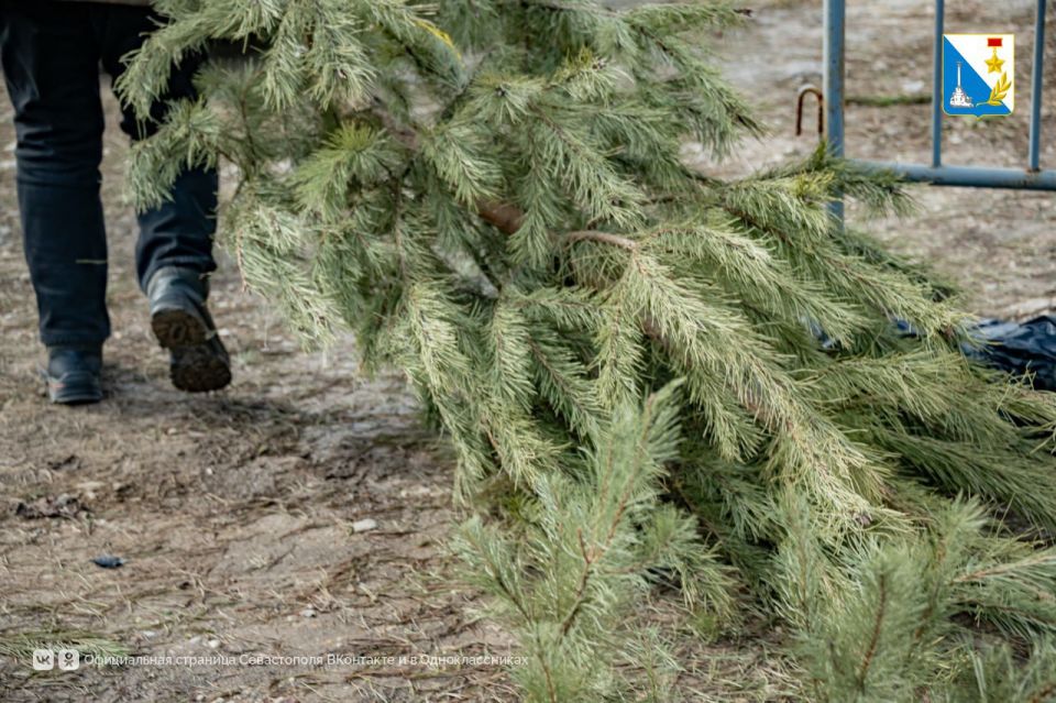 ������ ���������� ���� �� �����������