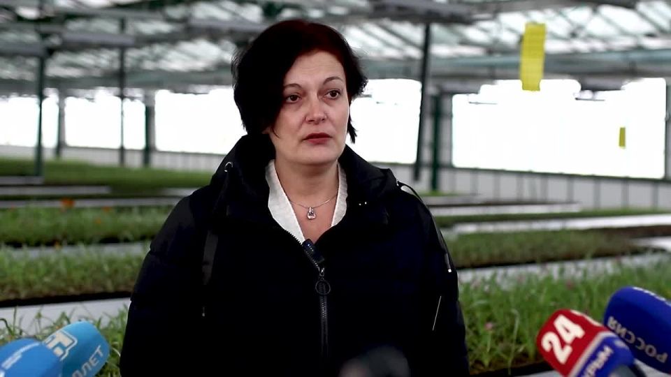 � �������� ������� � �������� ������� ����������� ����� 25 ����� ������