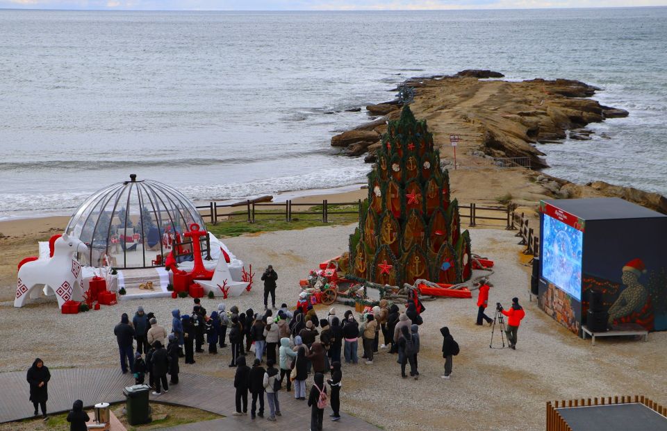 Кирилл Чебышев: Главная морская ёлка страны, установленная в Судаке на территории арт-кластера «Таврида», стала финалистом Всероссийского конкурса «Ёлки России» Кирилл Чебышев: Главная морская ёлка страны, установленная в Судаке на территории арт-кластера «Таврида», стала финалистом Всероссийского конкурса «Ёлки России»