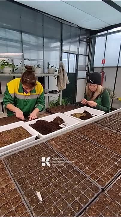 ������, ���� �� ����� ���� � �����, � ��������������� �������� ���� ���������� � �������� ������ ��������� ����� ��������� ������, ������� ������� ����� ��� ���� ������