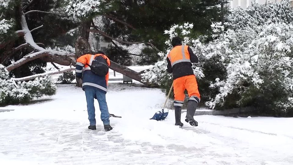 �������������� ������ � ����������� ������������