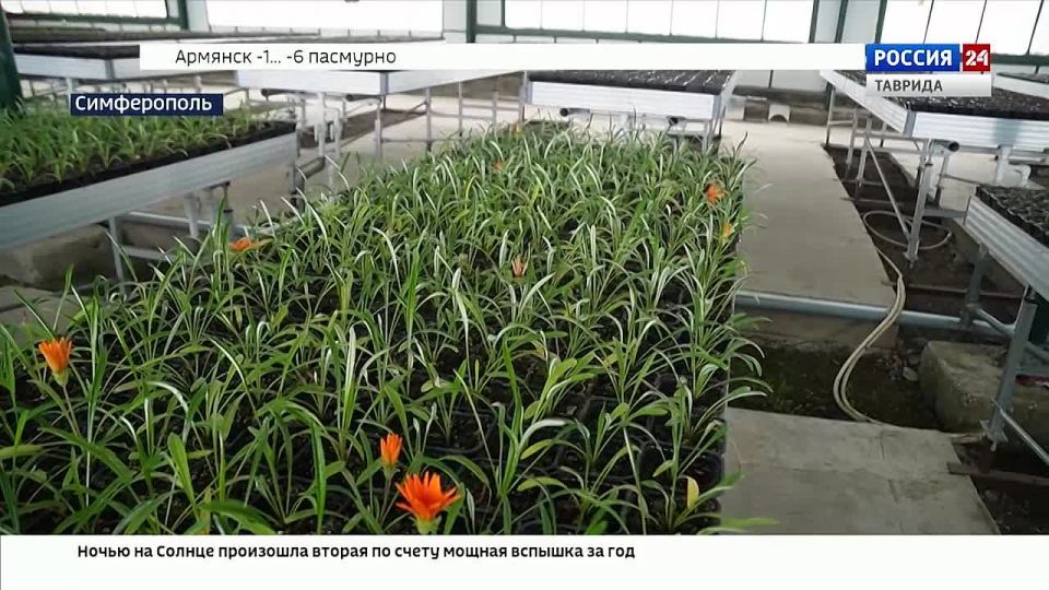 � ��������� ���������� ����������� ������� ��������� � ��������� ����������