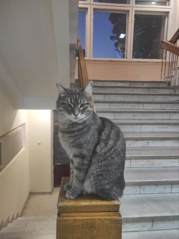 ���� �������� ����, � ������� ������� ���� �����������: ��� ���������� ���� ����� ������� ���������� ��������