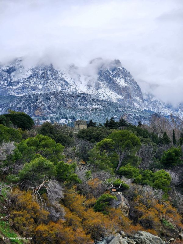 ��-����� � ����� - ��� ������ ����� �������