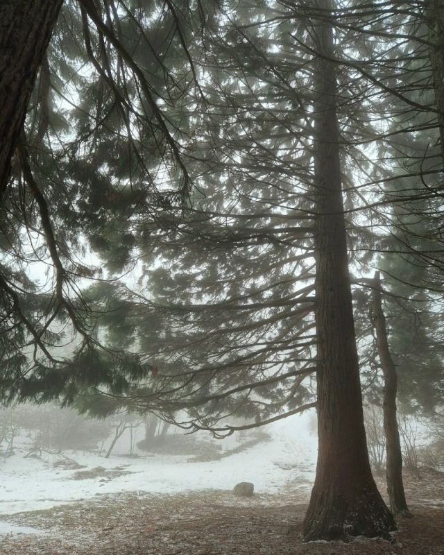 ���� ������ � �����-���� � ������