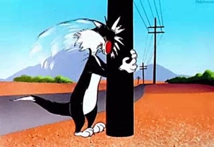 ����� ��������� ���� ��������� �� ����� 17 ������