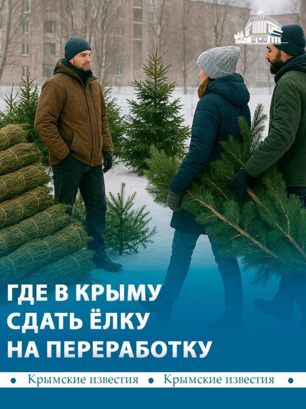 Не выбрасывайте ёлку: в Крыму запустили акцию по переработке новогоднего дерева