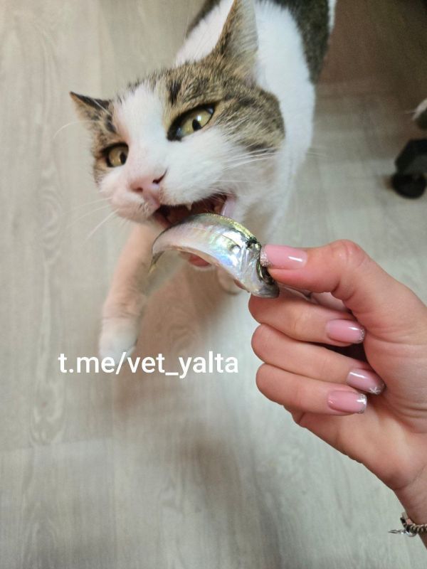 ���� �������� ����, � ������� ������� ���� �����������: ��� ���������� ���� ����� ������� ���������� ��������