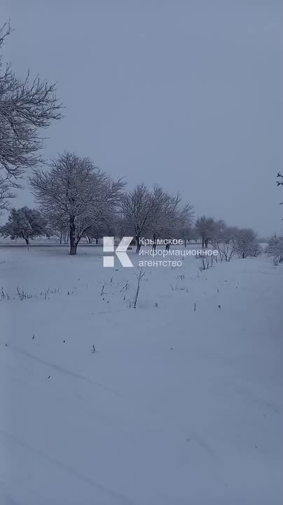 Снежная зима — редкое для Крыма явление