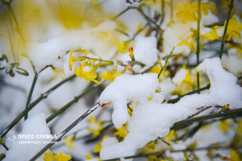 ������ ����, ���������!. ����������� ������� ���������� ������� �� 0��