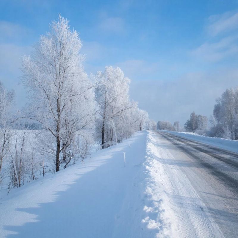 ����� ������ ��� ������� � ������ ����� 15 ������