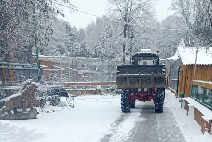 � ������ � ������� ����������� ���������� ������ �����