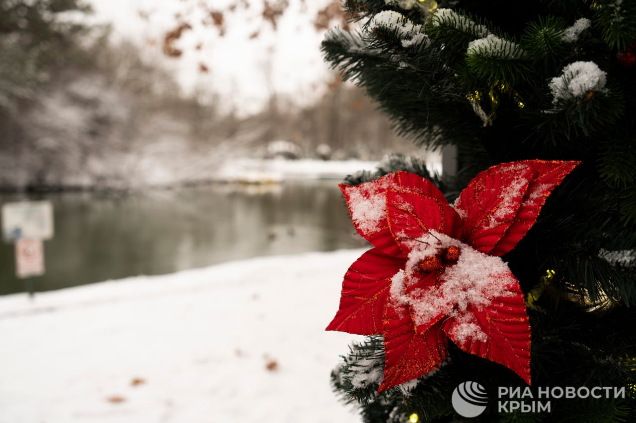 Вторая половина января в Крыму будет холодной