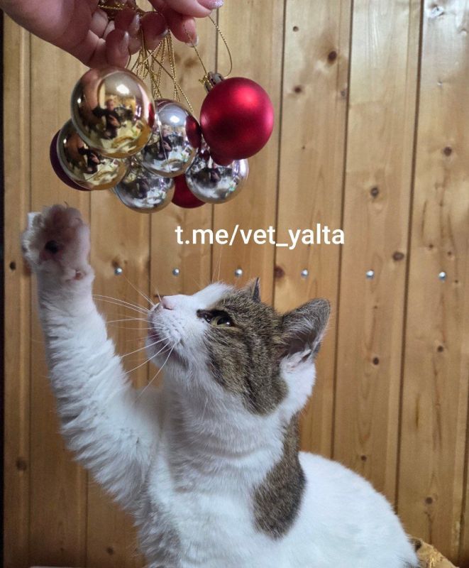 ���� �������� ����, � ������� ������� ���� �����������: ��� ���������� ���� ����� ������� ���������� ��������