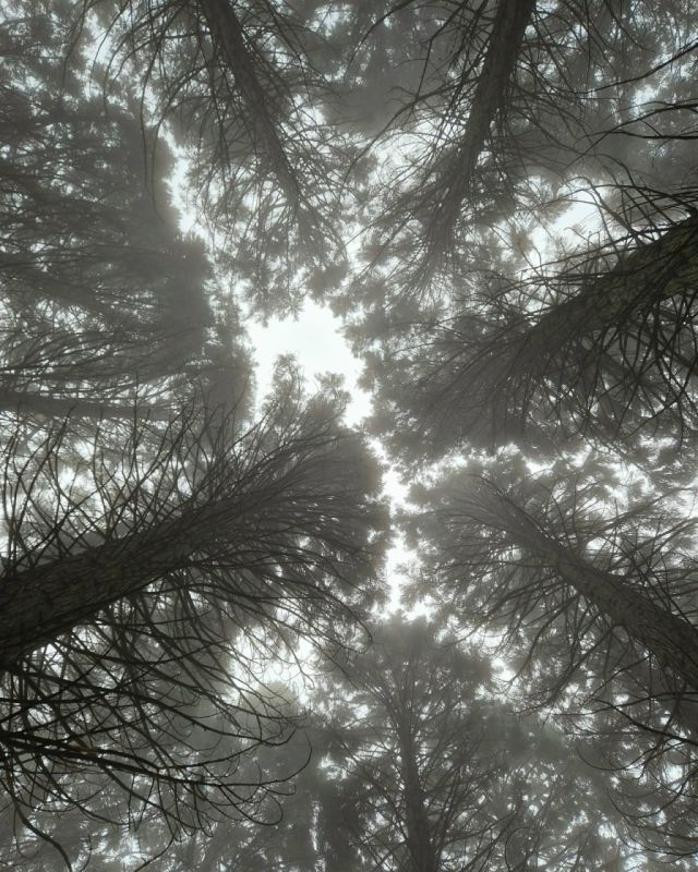 ���� ������ � �����-���� � ������