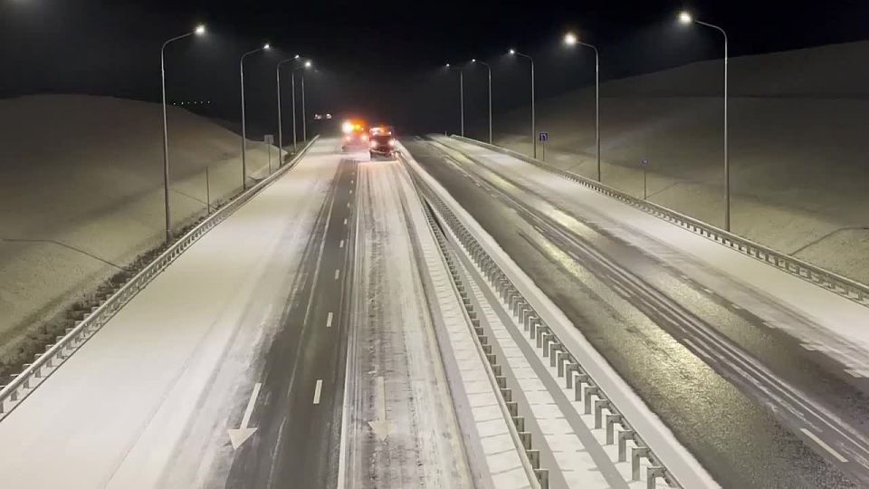 ����. ����. ������