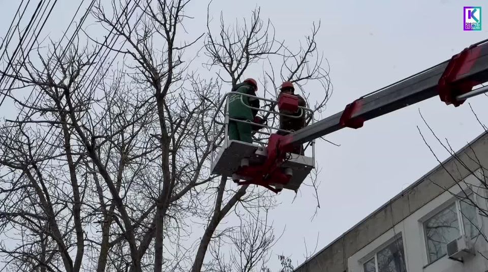 Ежедневно и в любую погоду сотрудники Службы городского хозяйства Керчи выполняют работы по содержанию зеленых насаждений