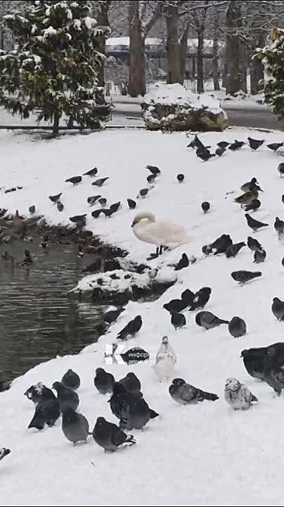 ��� ��� ������ ������ � ��������������� ����� ��. ��������