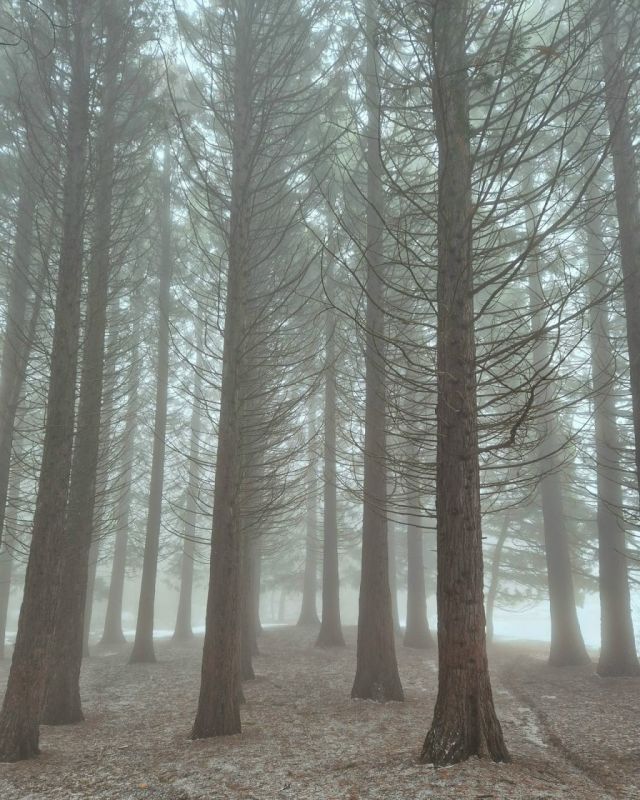 ���� ������ � �����-���� � ������