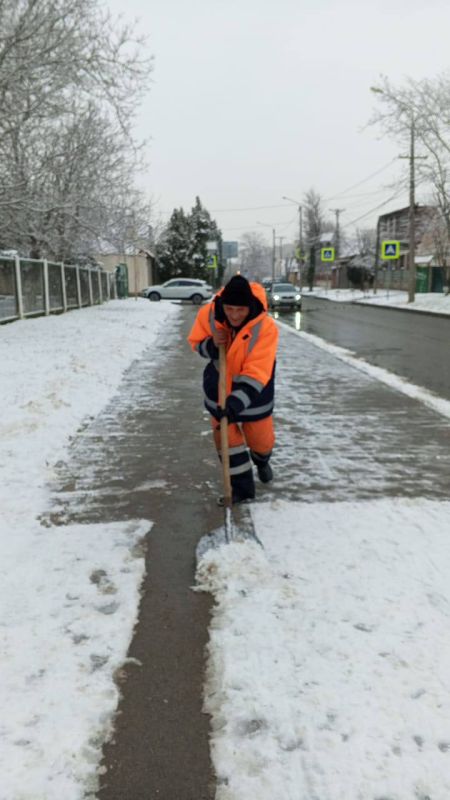 ������ �����: ����������� � �������� ���������� ��������� ����������� �� �����