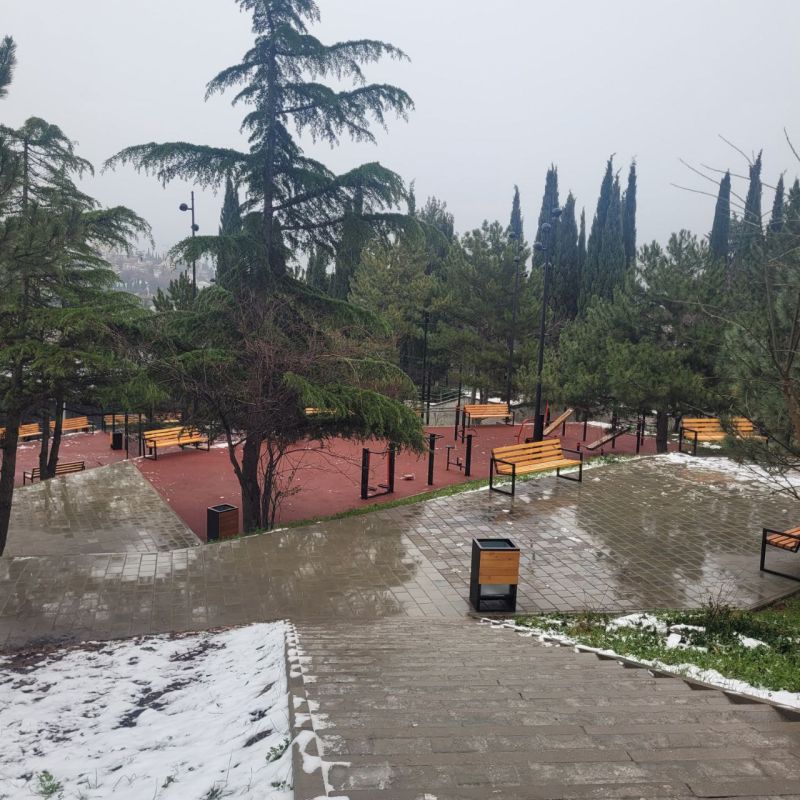 ������ ������: �������� ���������� ������ ����������, �������� � ��������, ����� ����� ������� ���������� ����������� ����� �� ��������������� ������������ � ���������� ����������