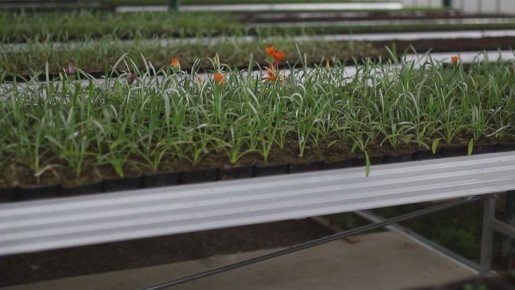 � ����������� ������� ����� 25 ����� ������