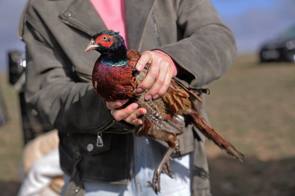 2026-� ��� ��������, �� ������� � ���� ������� ���������� 2025-��