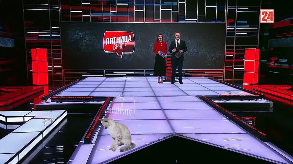 ����������� ������ ��������� ��������.����� �� ���������� ����� 24� ����� 3D-�����