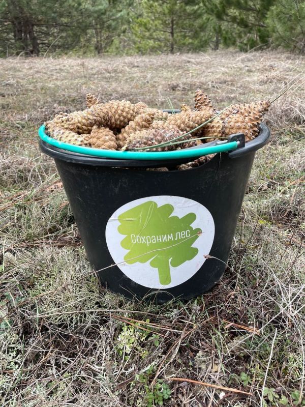 � 2026 ���� �������� ������� ��������� ����� 4 ���