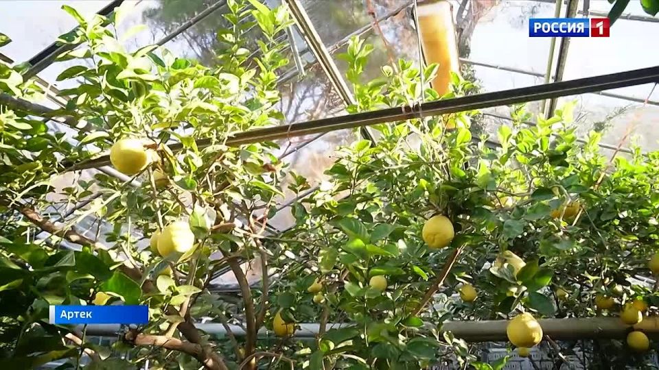 � ������� �������� ������ ��� ������ � ���� ���