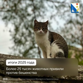 � 2025 ���� ������������ ����������� ������� �� ��������� ����� 25 ����� ����� � �����