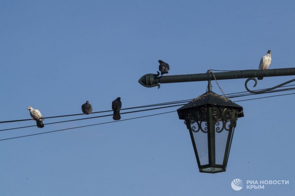 В Сакском и Белогорском районах также ограничат уличное освещение