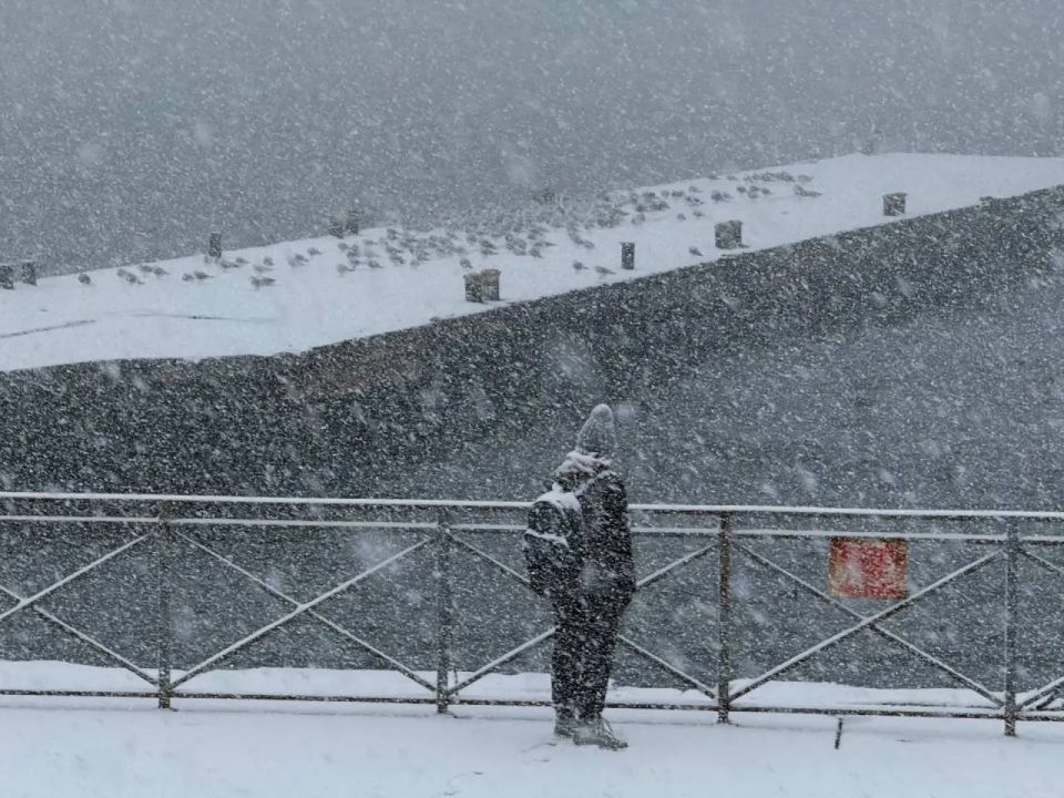 Ялтинских школьников освободили от занятий в школе из-за снегопада Ялтинских школьников освободили от занятий в школе из-за снегопада