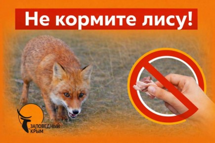 � ���� � ������ ������������� ��������� ������� ��������� ����� ����� ��������, �������� ����������� ����