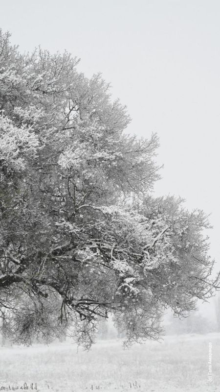 ������� ����� �� ��� �������