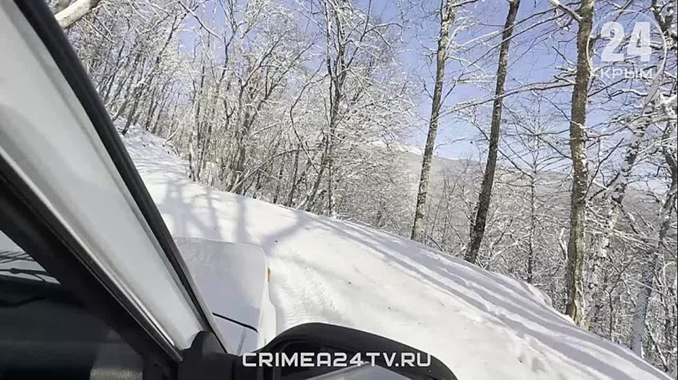 ������ � ������-������������� �������� ��������� � ����� �������