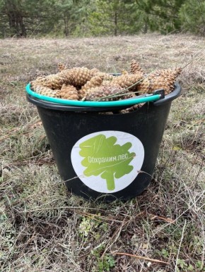 ����� �������: ��������� ����� � ������ � ��������� ��� � �������������� ����� �����