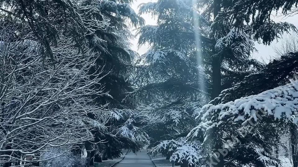 ������� �����������. ������ ������ � �������� ������� � � ����� �����